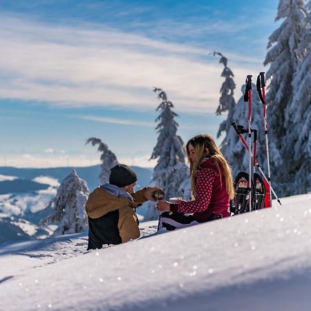 Schwarzwaldhorst 1 Fuer 8 Gaeste In Todtnau, Liftverbund Feldberg Экстерьер фото
