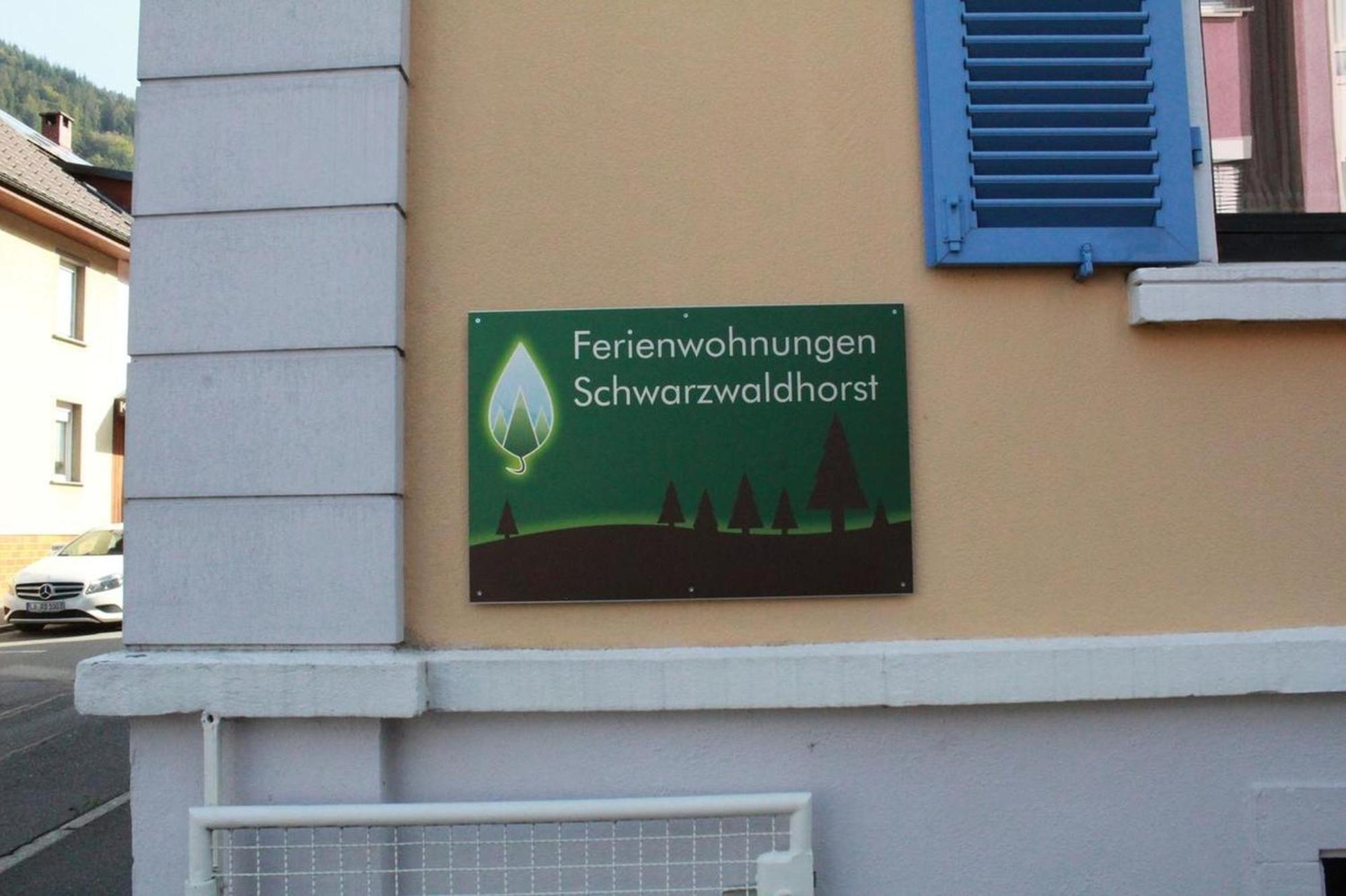 Schwarzwaldhorst 1 Fuer 8 Gaeste In Todtnau, Liftverbund Feldberg Экстерьер фото