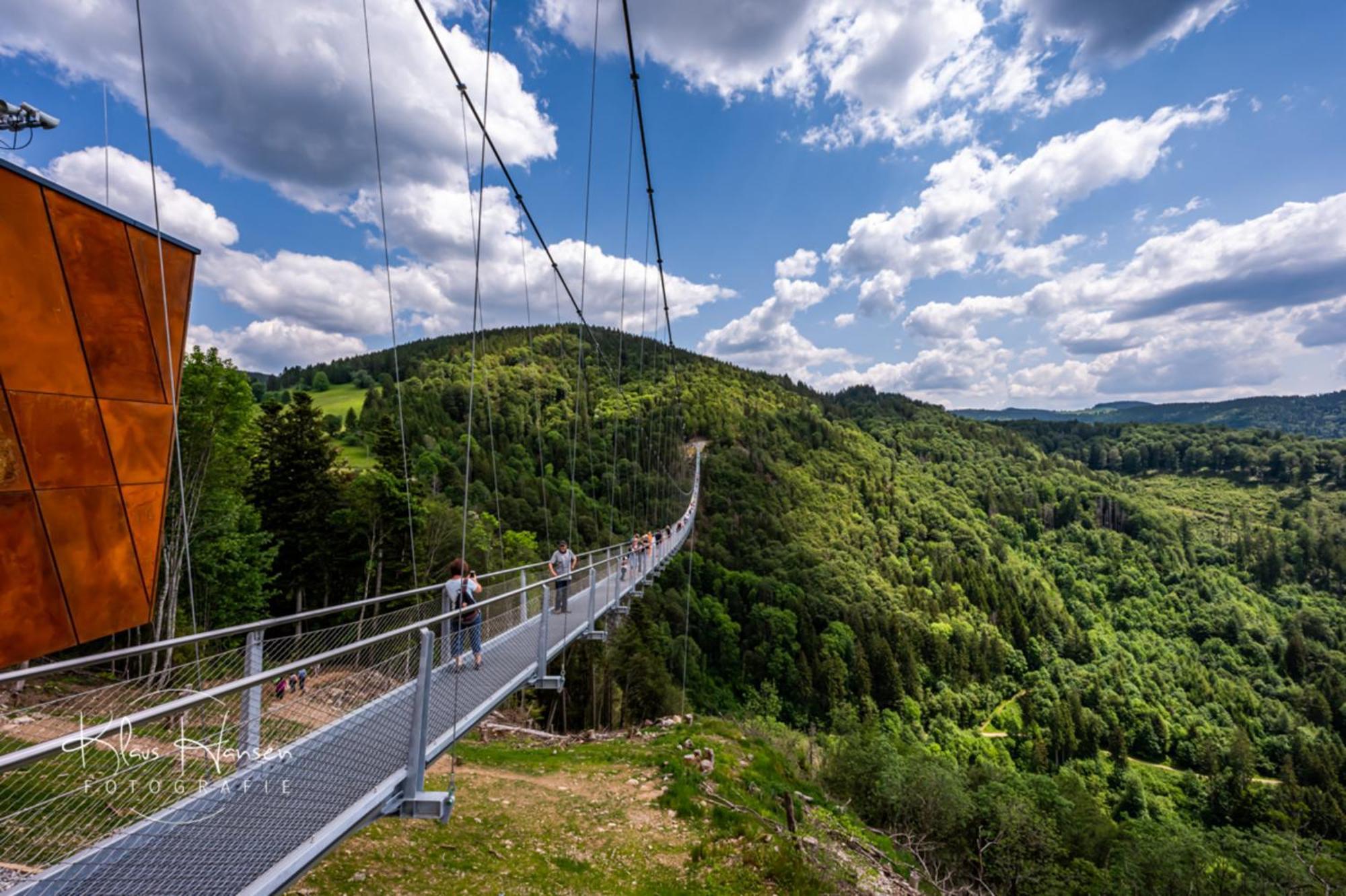 Schwarzwaldhorst 1 Fuer 8 Gaeste In Todtnau, Liftverbund Feldberg Экстерьер фото