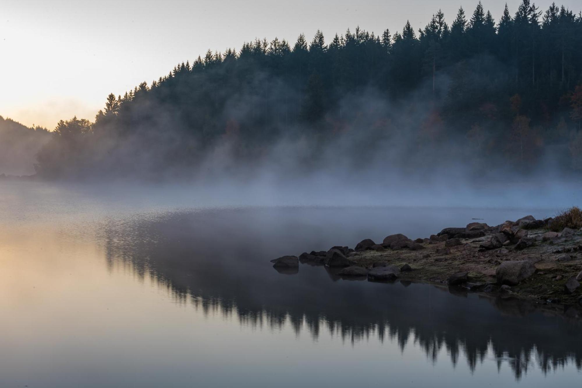 Schwarzwaldhorst 1 Fuer 8 Gaeste In Todtnau, Liftverbund Feldberg Экстерьер фото