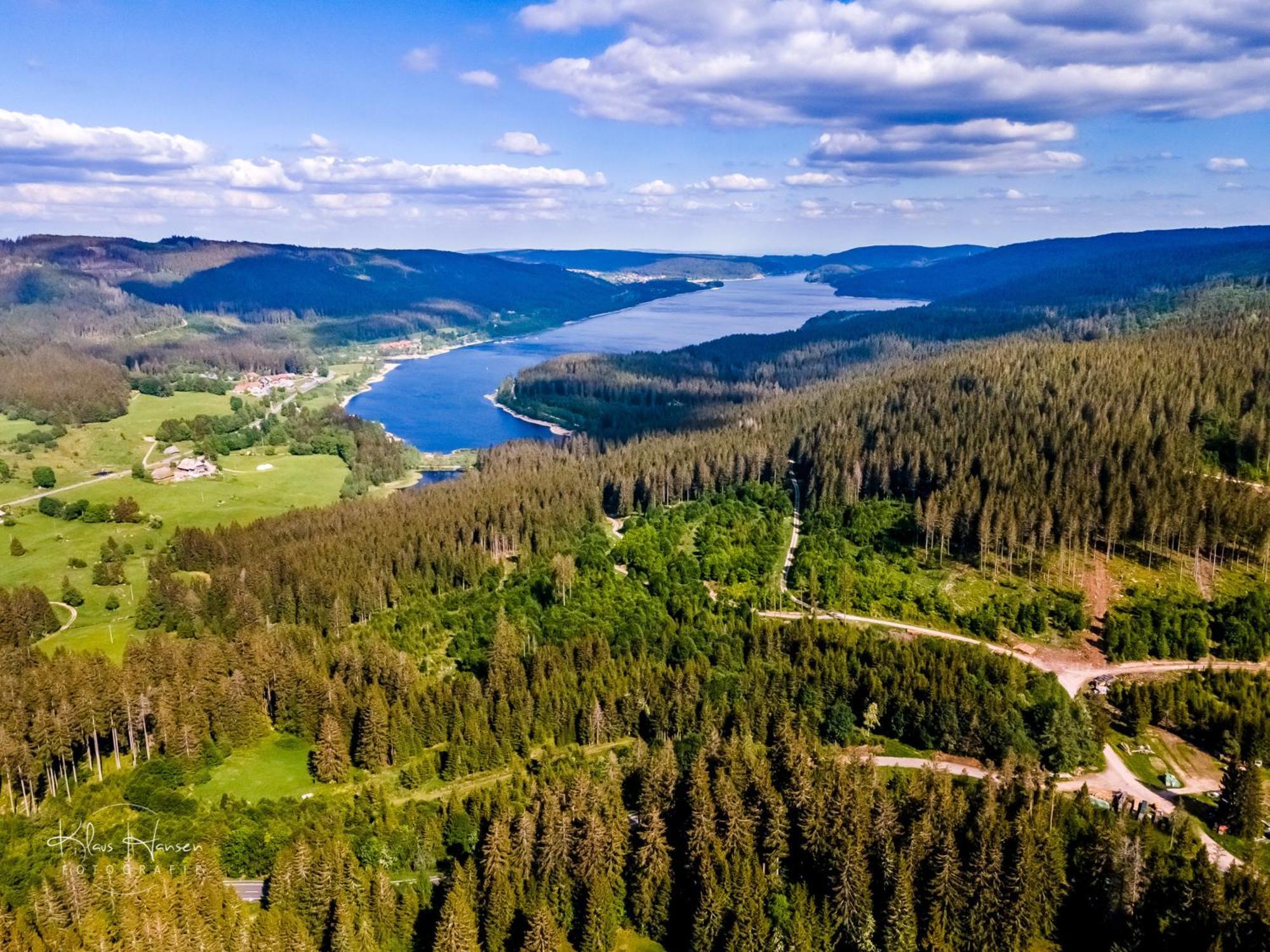 Schwarzwaldhorst 1 Fuer 8 Gaeste In Todtnau, Liftverbund Feldberg Экстерьер фото